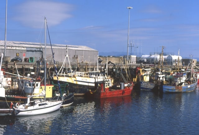 Seafood worth €22m landed at Ros an Mhíl last year