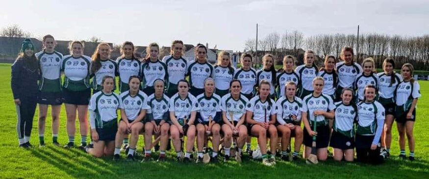 Sarsfields Book Place In All-Ireland Senior Camogie Club Final