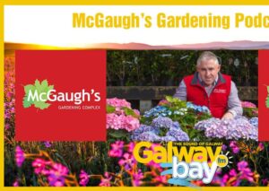 McGaugh's Gardening Podcast on The Wagon Wheel (Saturday 4th March 2023)