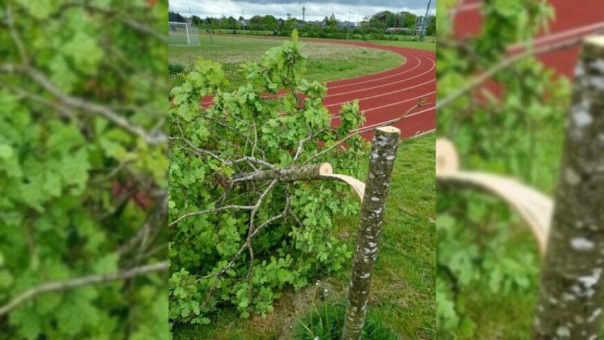 LISTEN: Vandalism over the Weekend - Westside Park and Claddagh Watch