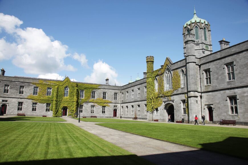 University of Galway to lead European project on bi-odegradeable medical implants