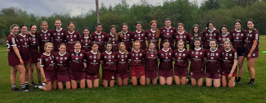 All Ireland U16 Camogie 1/4 final - Galway 1-9 Waterford 0-4 - Full Commentary and Reaction