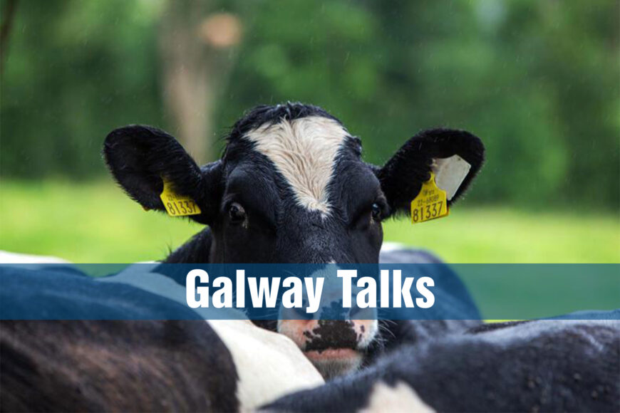 Warning To Farmers As Cattle Stolen on Galway Border