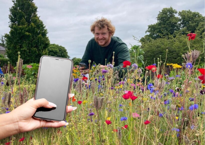 University of Galway study uncovers problems with plant identifier smartphone apps
