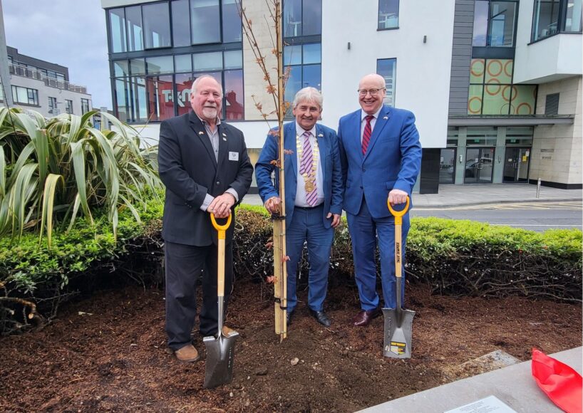 Tree planting marks 20th anniversary of Galway twinning with Washington County