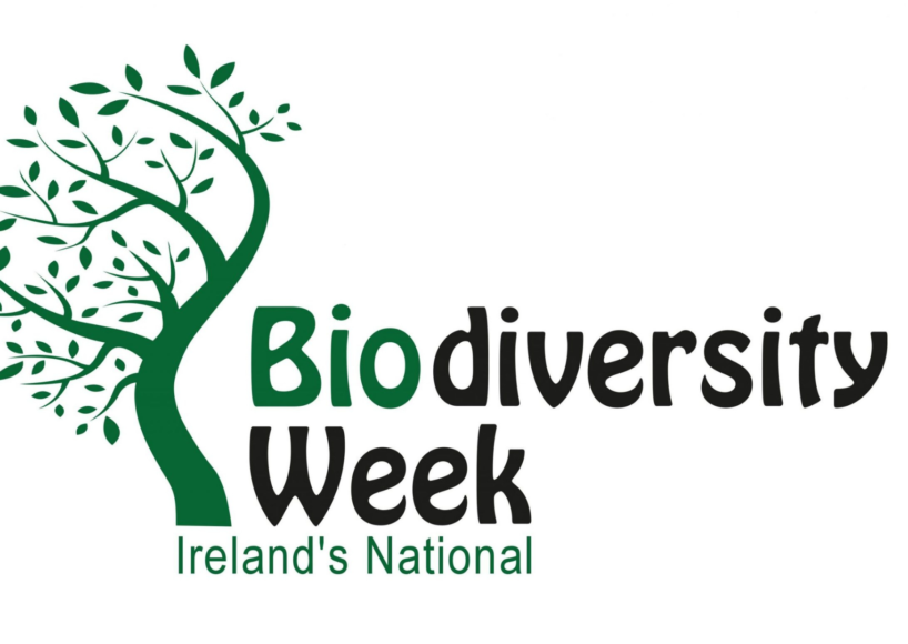 Week-long events at Merlin Woods for Biodiversity Week