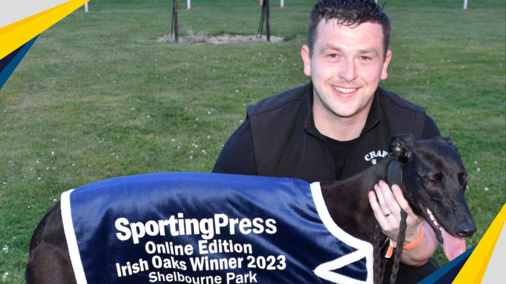Greyhounds: Crafty Shivoo Wins the Irish Oaks – Back-to-Back Wins for Galway