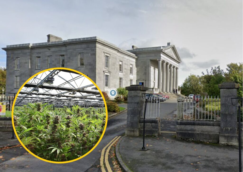 Three walk free from court over alleged €1m growhouse in Kilcolgan