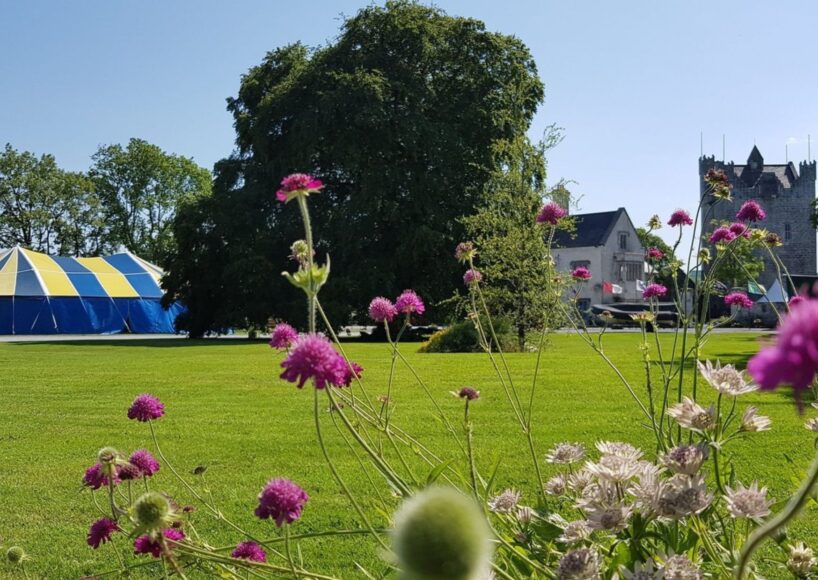 Thousands expected to attend Galway Garden Festival at Claregalway Castle