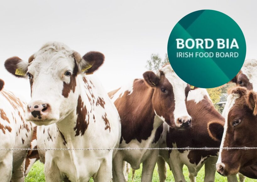 Galway applicants to new suckler scheme urged to join Bord Bia