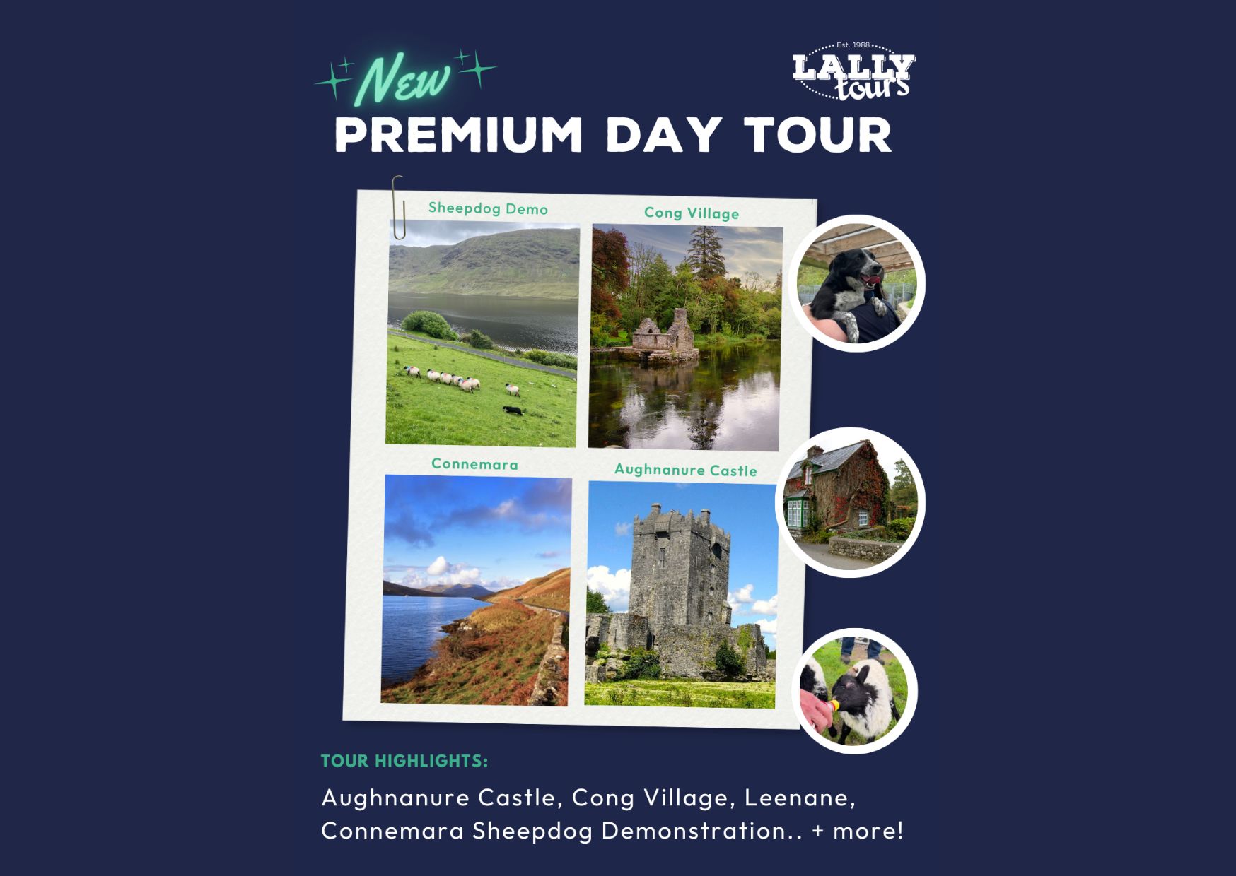 lally tours galway office