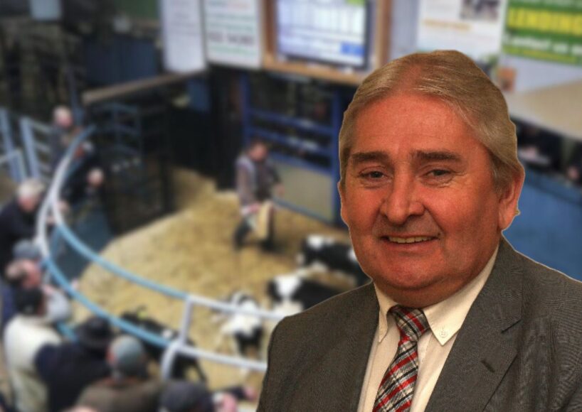 Calls for increased safety barriers at Loughrea mart following weekend death