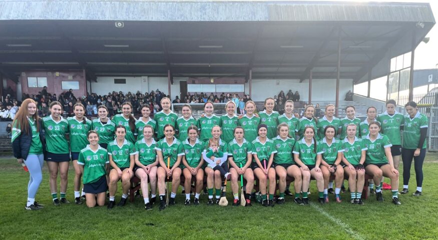 Sarsfields wins County Senior Camogie Title – Highlights and Reaction