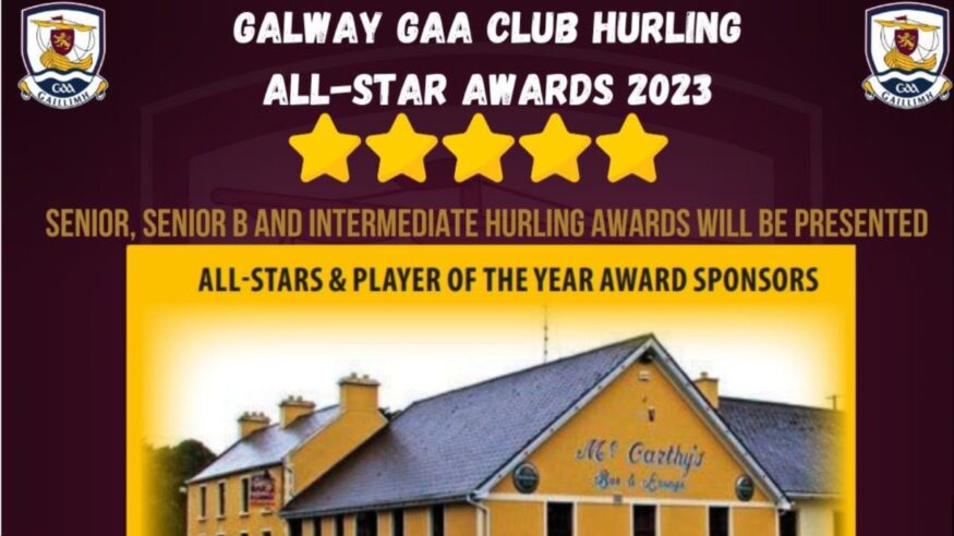 Fifteen Clubs Represented in Galway Club Hurling Teams of the Year 2023