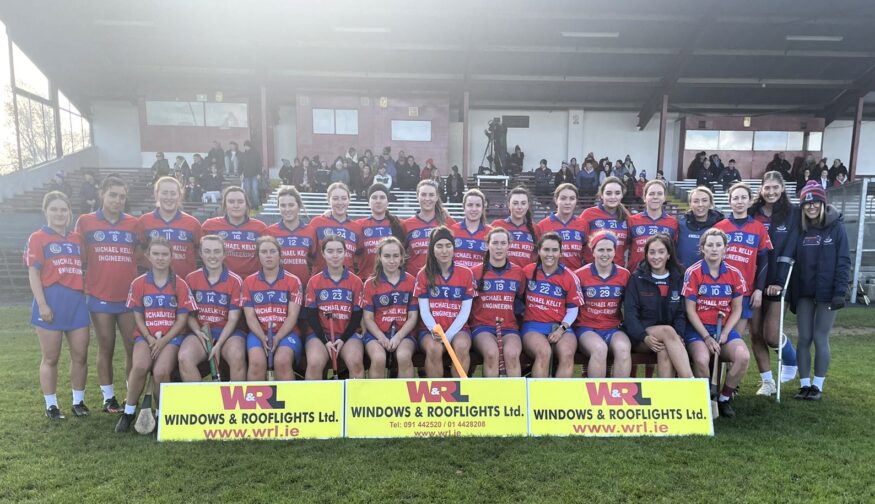 St Thomas win County Senior B Camogie Title – Commentary and Reaction