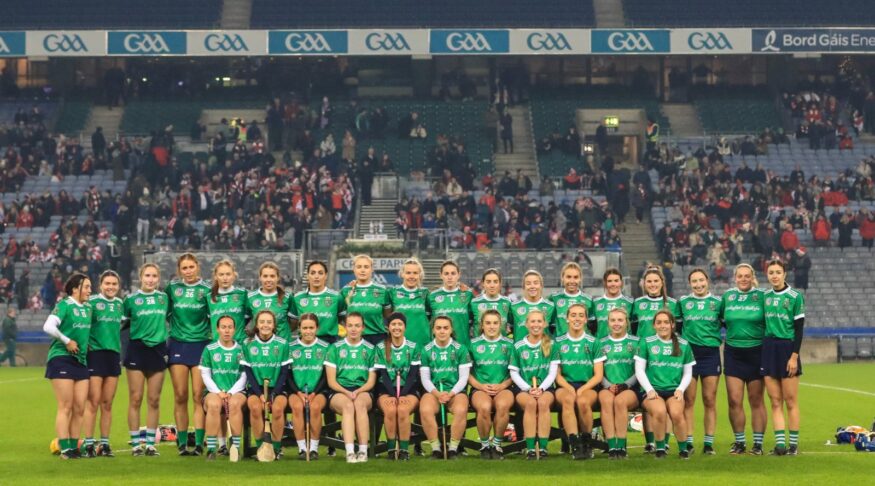 Sarsfields all set for another tilt at All-Ireland glory