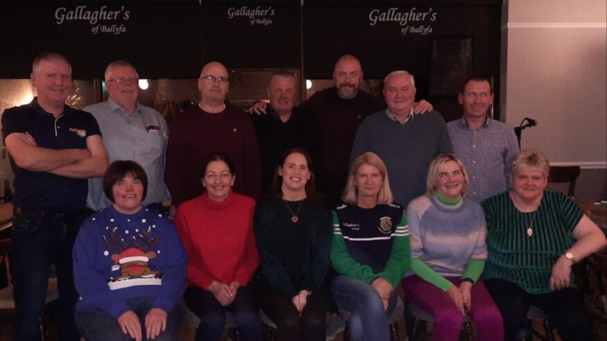 OVER THE LINE: Sarsfields Camogie Final Special from Gallaghers in Ballyfa