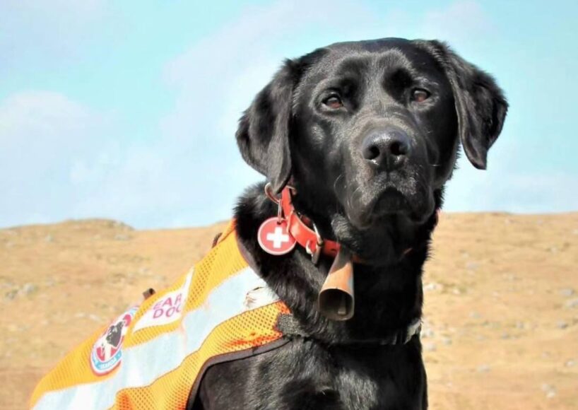 Search dog with Galway Mountain Rescue retires after proud service
