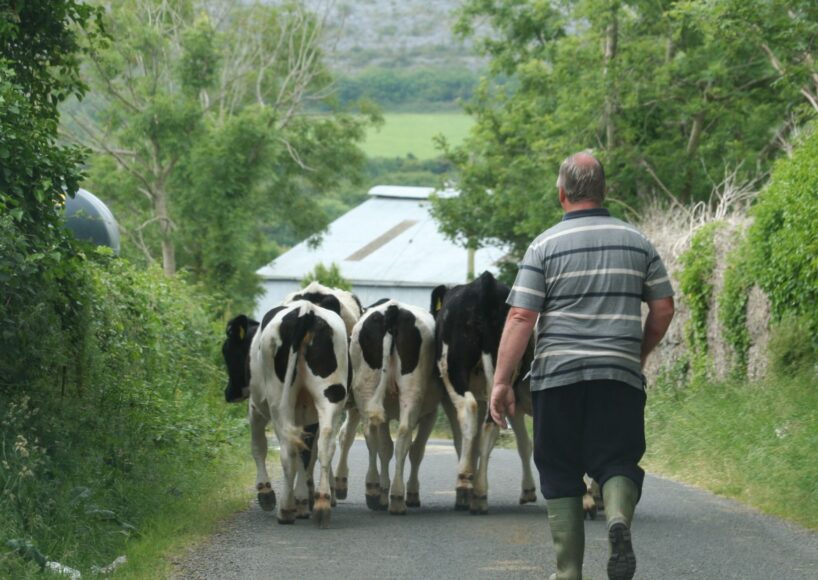 1,500 Galway farmers exit trade in past decade
