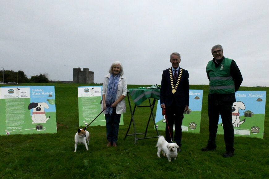 Galway County Council continues with the Green Dog Walkers campaign in the county