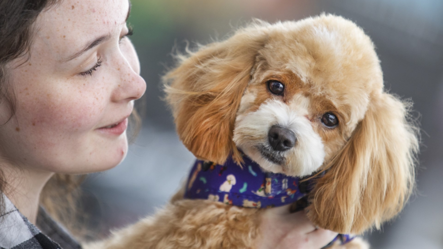 Petmania Host Puppy Care Classes Nationwide for New Pet Owners this New Year