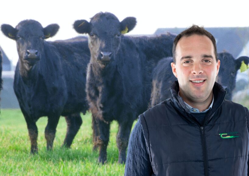 Galway City Council to hold public information event on cow biodiversity project