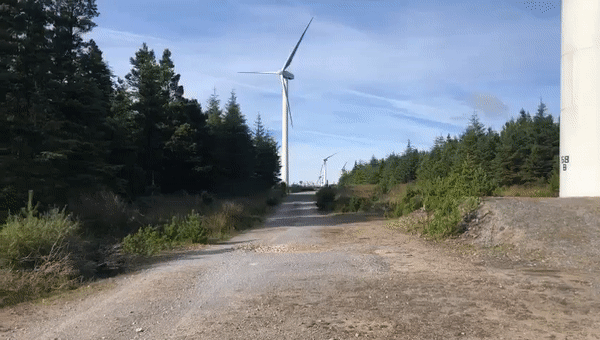 Government opposes Derrybrien Wind Farm Bill at Second Stage in Seanad