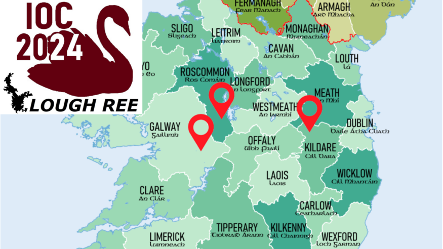 Ballygar Forest to host part of the Irish Orienteering Championships next weekend