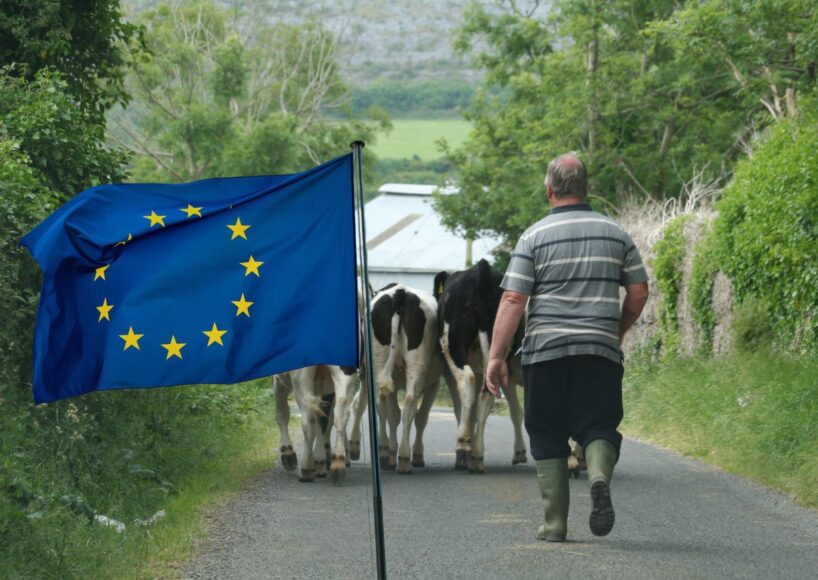 Galway IFA executives urge farmers to attend meeting with Euro elections candidates