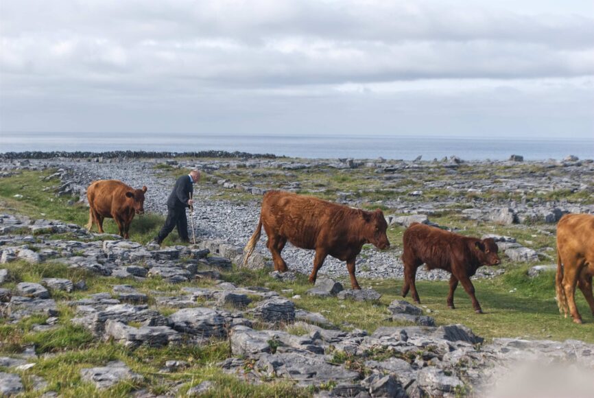 Inis Mór farmer to feature in new TG4 series this week